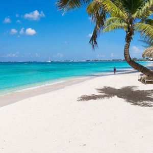 Meet your Posher, Neev